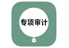 高新专项审计