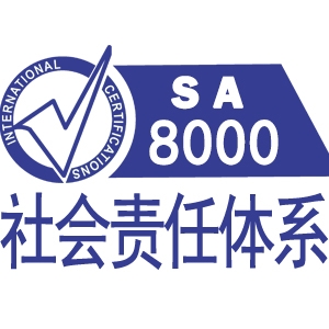 池州SA8000社会责任管理体系认证